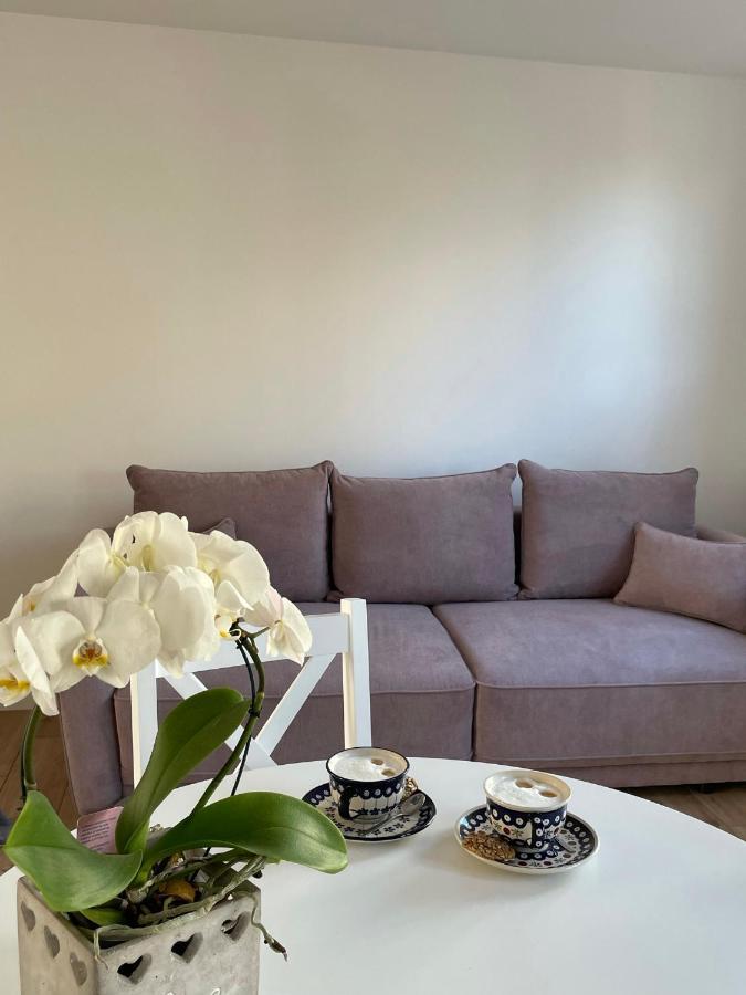 Apartament -Dwudziestka ซานดอเมียร์ช ภายนอก รูปภาพ